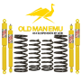 logo ome_90x90